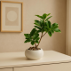 Artificial Plant